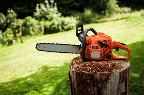 The Best Chainsaws Of 2023 Tested By Bob Vila
