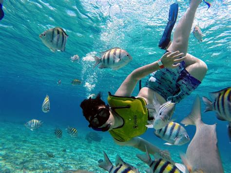 World Best Places To Snorkel Where Are The Most Snorkelable Waters