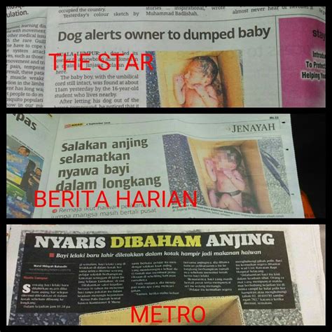 Read the latest news at wonderful malaysia. Misleading news headline for dog who rescued dumped baby ...
