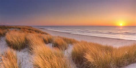 Dunes And Beach At Sunset On Texel Island The Netherlands Stock Image