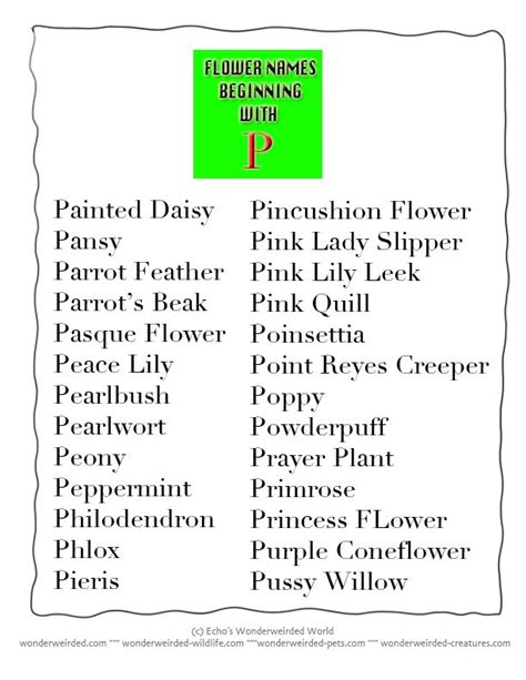 The Next 17 Things To Immediately Do About Names Of Flowers In