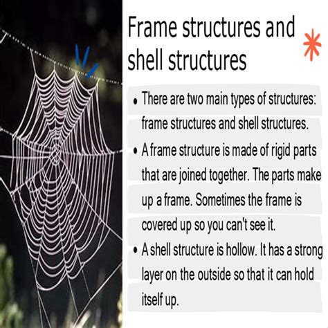 Grade 4 Natural Science Term 1 Structures For Animals Powerpoint And