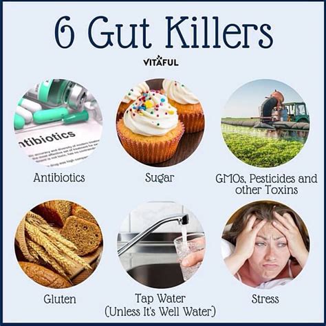 Want To Improve Your Health? Avoid These 6 Gut Killers!