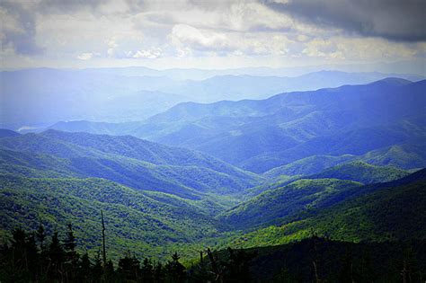 Verfärben Weizen Aktivieren Sie West Virginia Mountain Mama Bad