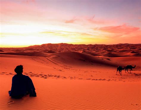 Sahara Desert Sand Dunes Wallpapers 53 Wallpapers