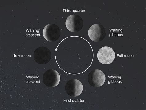 How Many Moon Phases Are There