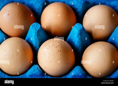 Brown Hens Eggs Stock Photo Alamy