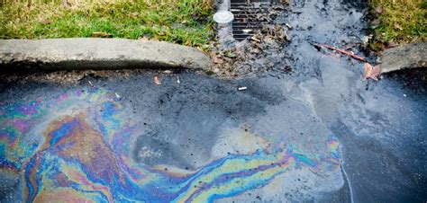 Words are listed in alphabetical order: Earth Day 2017: 6 Ways Homeowners Can Reduce Stormwater ...