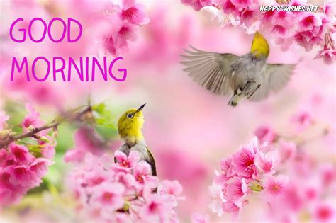 Beautiful Spring Morning Wallpapers Top Free Beautiful Spring Morning
