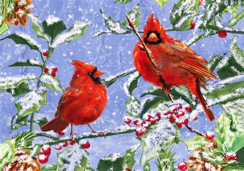 Like many birds, northern cardinals molt their feathers and grow new ones in late summer and early fall, after the breeding season is over and during fall and winter, these tips slowly wear off, revealing more and more brilliant red. Cardinal Birds in Snow Wallpaper (47+ images)