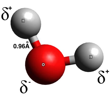 Polar inorganic compound, tasteless and odorless liquid. Polarità delle molecole | Chimicamo.org - Part 2