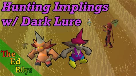 Using Dark Lure To Hunt Implings Osrs Impling Hunting Guide Youtube