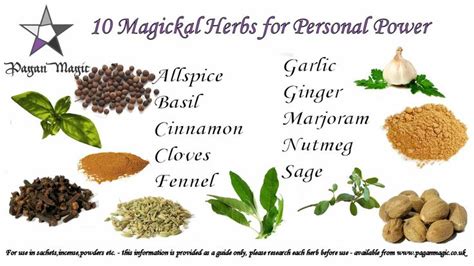 10 Magickal Herbs For Personal Power Magic Herbs Magickal Herbs Magical Herbs
