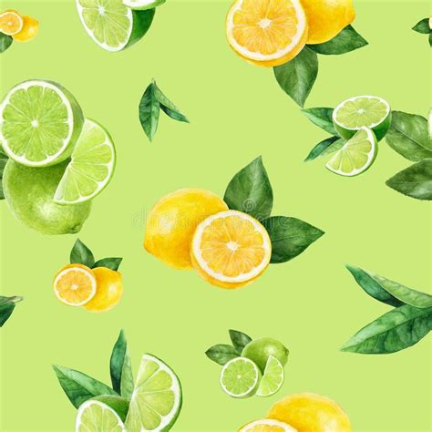 Watercolor Hand Drawn Lemon Lime Fruit Seamless Pattern Stock