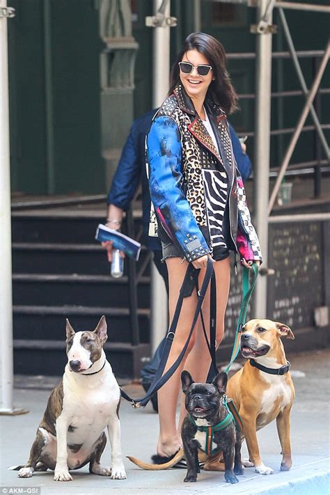 Kendall jenner reportedly had cops called on her over the weekend after her dog allegedly bit a little girl, tmz reveals. Kendall Jenner rocks punk look as she plays at being a dog ...