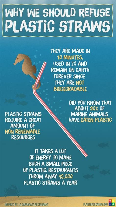 Here's how to reduce waste while saving yourself some cash. why we should refuse plastic straws #ecofriendly #eco ...
