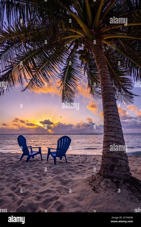 Perfect Sunrise With Two Beach Chairs And Palm Tree Grand Cayman