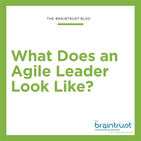 What Does An Agile Leader Look Like Braintrust Consulting Group