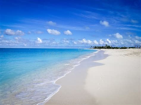 Beautiful Beach With Turquoise Water And Palm Trees In The Back Stock