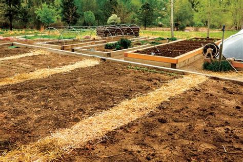 Learn The Basics Of Trench Composting Hobby Farms