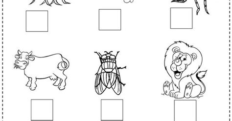 Animales Vertebrados E Invertebrados Para Colorear E Imprimir - páginas
