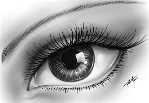 Drawing realistic eyes with pencils teardrops steemit. How to Draw a Realistic Eye - by RAM by robertmarzullo on ...