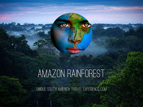 Copia De Amazon Rainforest By Viktor Ramirez
