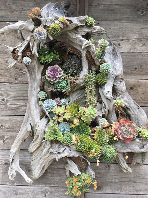 Diy Outdoor Succulent Planters 13 Awesome Indoor And Outdoor Vertical