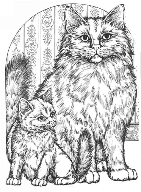 Kleurplaat kat moeilijk tropicalweather 968 x 1280 gif pixel. Kleurplaat Kat Voor Volwassenen
