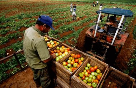 Should she have had a miscarriage or pregnancy termination, the letter a would be used. Chef Tom Colicchio, Rep. Pingree lead group to convert Cuba into major US organic supplier ...