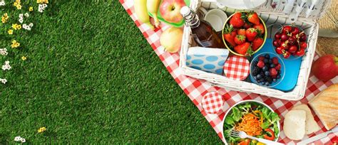 A meal in the park over the weekend with the sun shining bright on you and winds blowing in the hair is way better than a boring meal at your dining table. Raffinierte Snacks für unterwegs - Picknick, Lunch oder ...