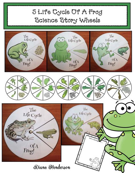 Life Cycle Of A Frog Activities Frog Activities Life Cycles Frogs