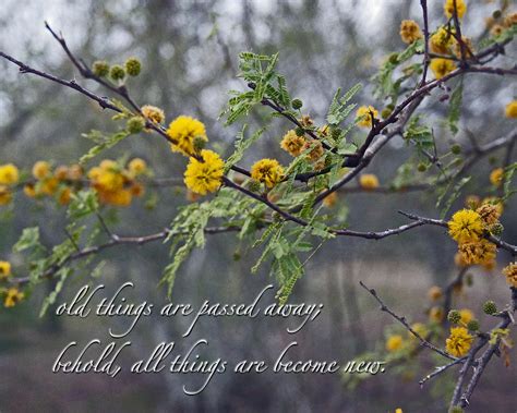 Find & download free graphic resources for spring flowers. Spring Rebirth With Verse Photograph by Cheri Randolph