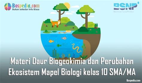 Materi Daur Biogeokimia Dan Perubahan Ekosistem Mapel Biologi Kelas