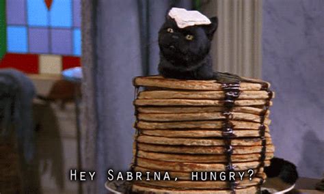 Find gifs with the latest and newest hashtags! Sabrina-salem-cat-pancakes-23.gif