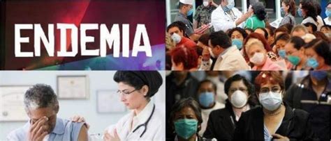 Endemia Imagenes Coronavirus Cual Es La Diferencia Entre Pandemia