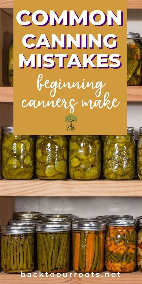 Jars Filled With Pickles And Carrots Sitting On Shelves