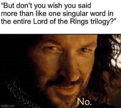 Fellowship Of “the Lord Of The Rings” Memes 37 Pics