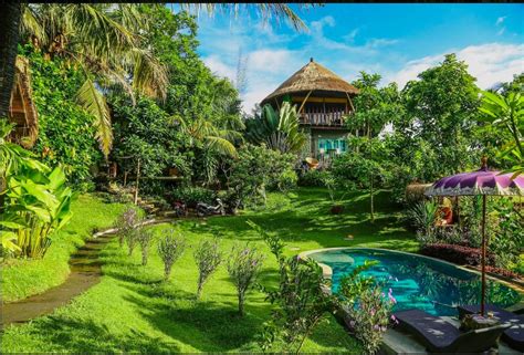 Balian Treehouse W Beautiful Pool Houses For Rent In Balian Beach