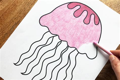 jellyfish template  premium vector