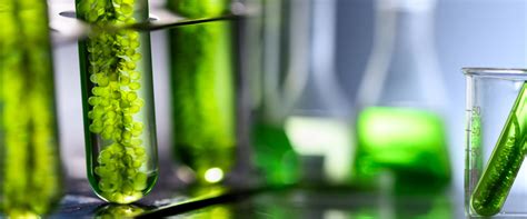 Check spelling or type a new query. O que é Biotecnologia e para que serve? - Biologia Total