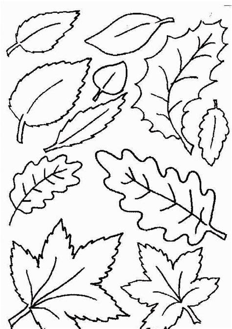 Leaves Coloring Pages Printable And Colors 12774, - Bestofcoloring.com