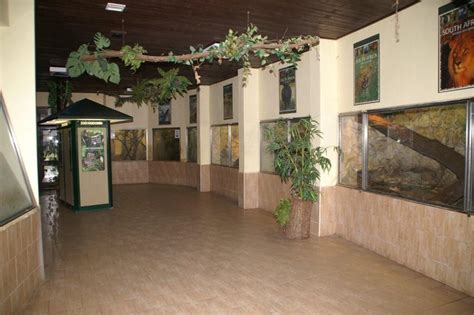 Základní informace místa id místa: File:Pavilon opic interier Zoo Hodonin.jpg - Wikimedia Commons