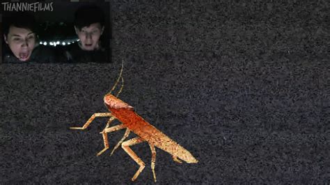 dancing cockroach jump scares dan and phil edition youtube
