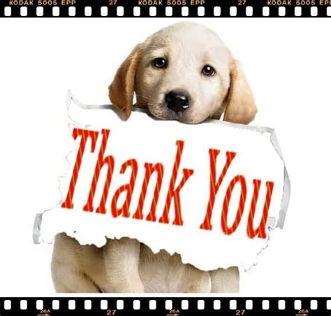 Thank you kind sir posted at wwwbajiroocom pictures of thank. A video Thank You from WAG - Walton Animal Guild