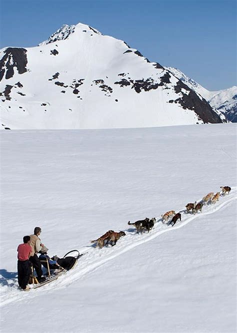 Glacier Dog Sledding Heli Adventure A Tour Close To Anchorage