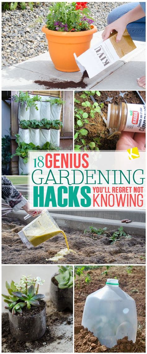 23 genius garden hacks you ll regret not knowing artofit