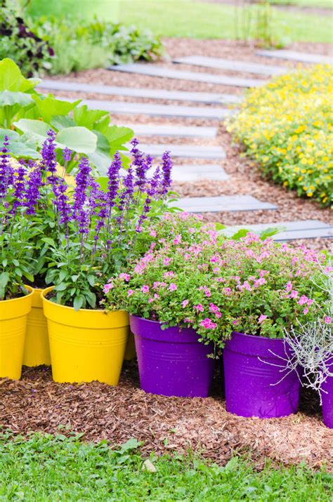 Questa pagina ti aiuterà con codycross pianta dai profumatissimi fiori bianchi in spighe soluzioni, cheat, risposte o procedure dettagliate. Grandi Vasi Della Pianta Con I Fiori Nel Giardino Fotografia Stock - Immagine di flowerpots ...
