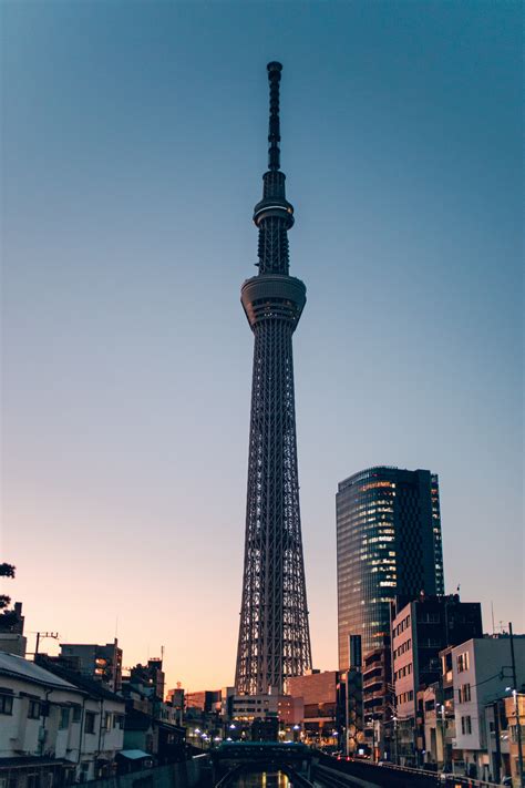 Sights In Tokyo The Top 7 Must See Places In Tokyo