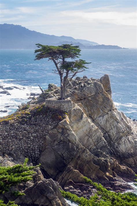 17 Mile Drive And The Lone Cypress Pebble Beach Road Trip Usa